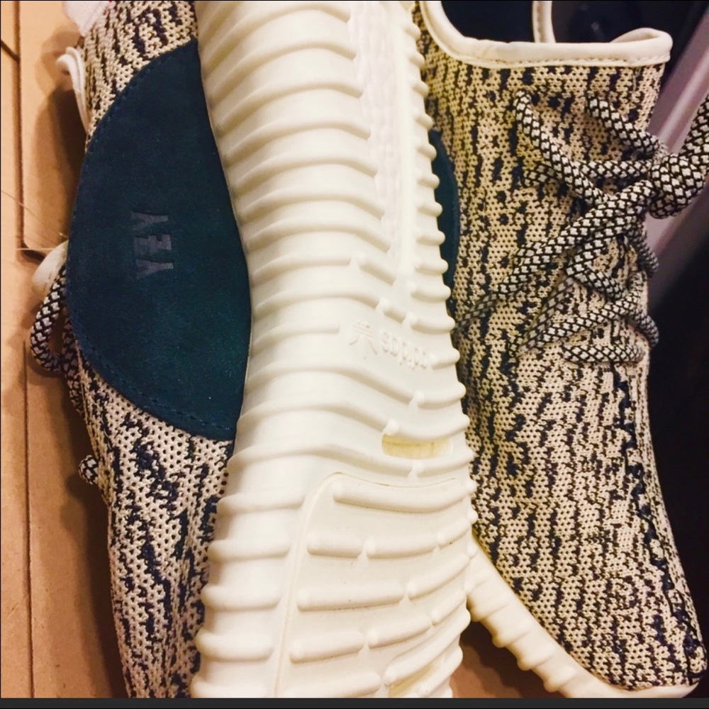 Yeezy Turtle Dove